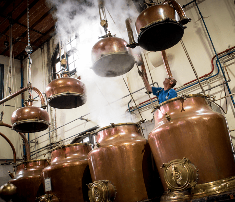 Distillery Copper Pot Stills with Worker in Background